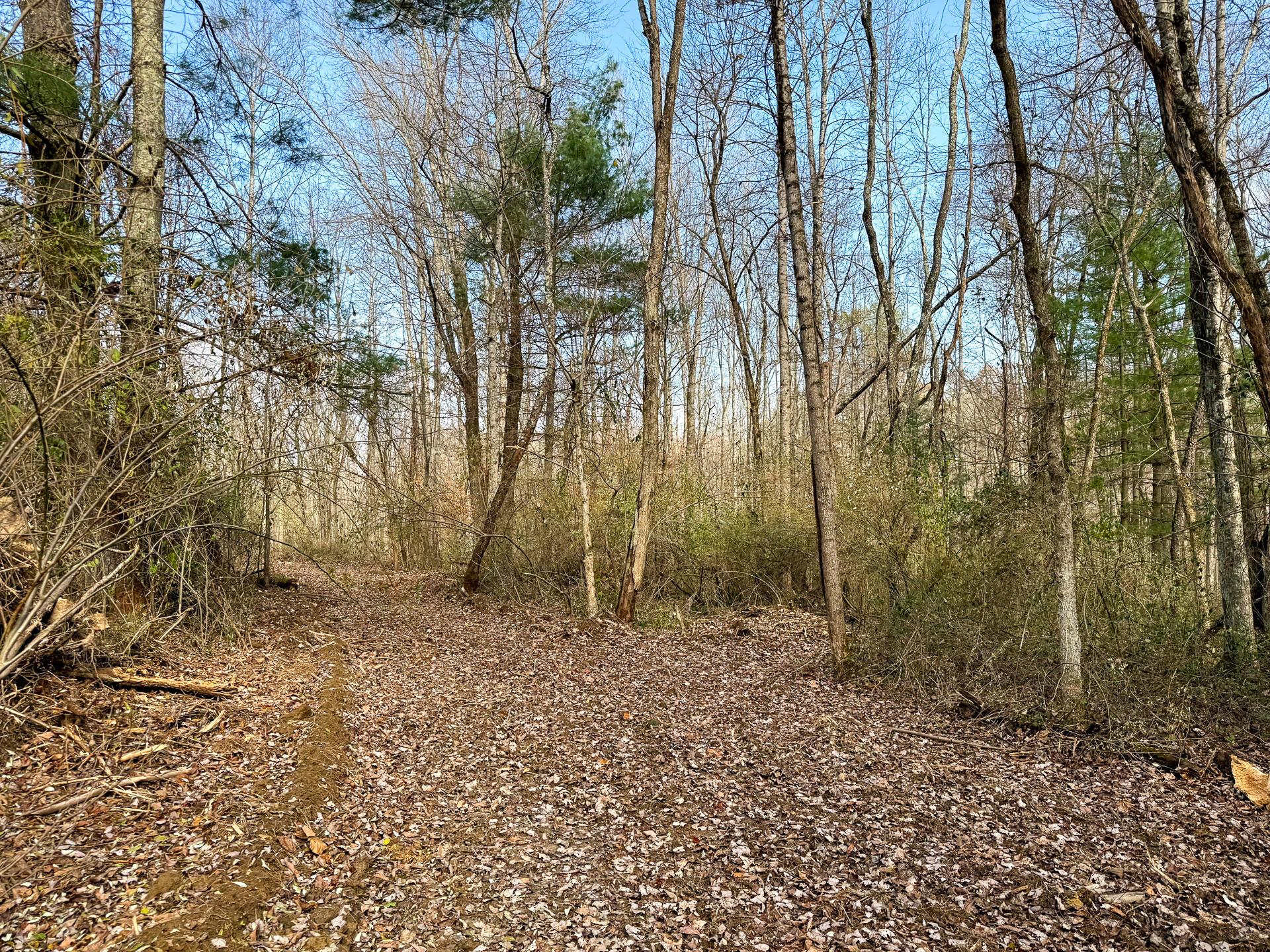 0 Dutch Ridge Road Southeast, Unit WOODS TURKEY RUN TRACT 4) New Lexington, OH 43764 - Photo 55 of 58 CT-55