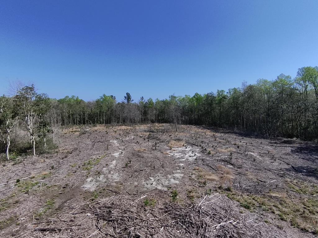 87 Highway 87 Samson, AL 36477 - Photo 14 of 47