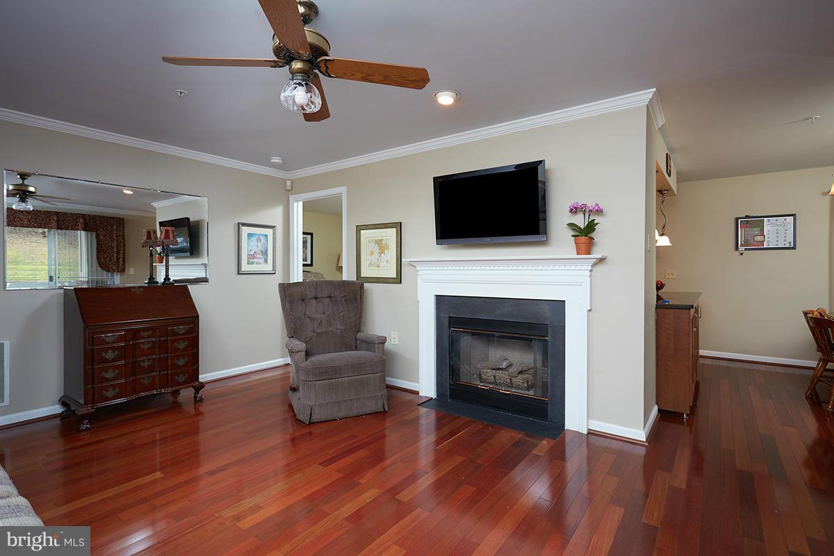 115 Timberbrook Lane, Unit 104 Gaithersburg, MD 20878 - Photo 5 of 28 a living room with furniture fireplace and flat screen tv