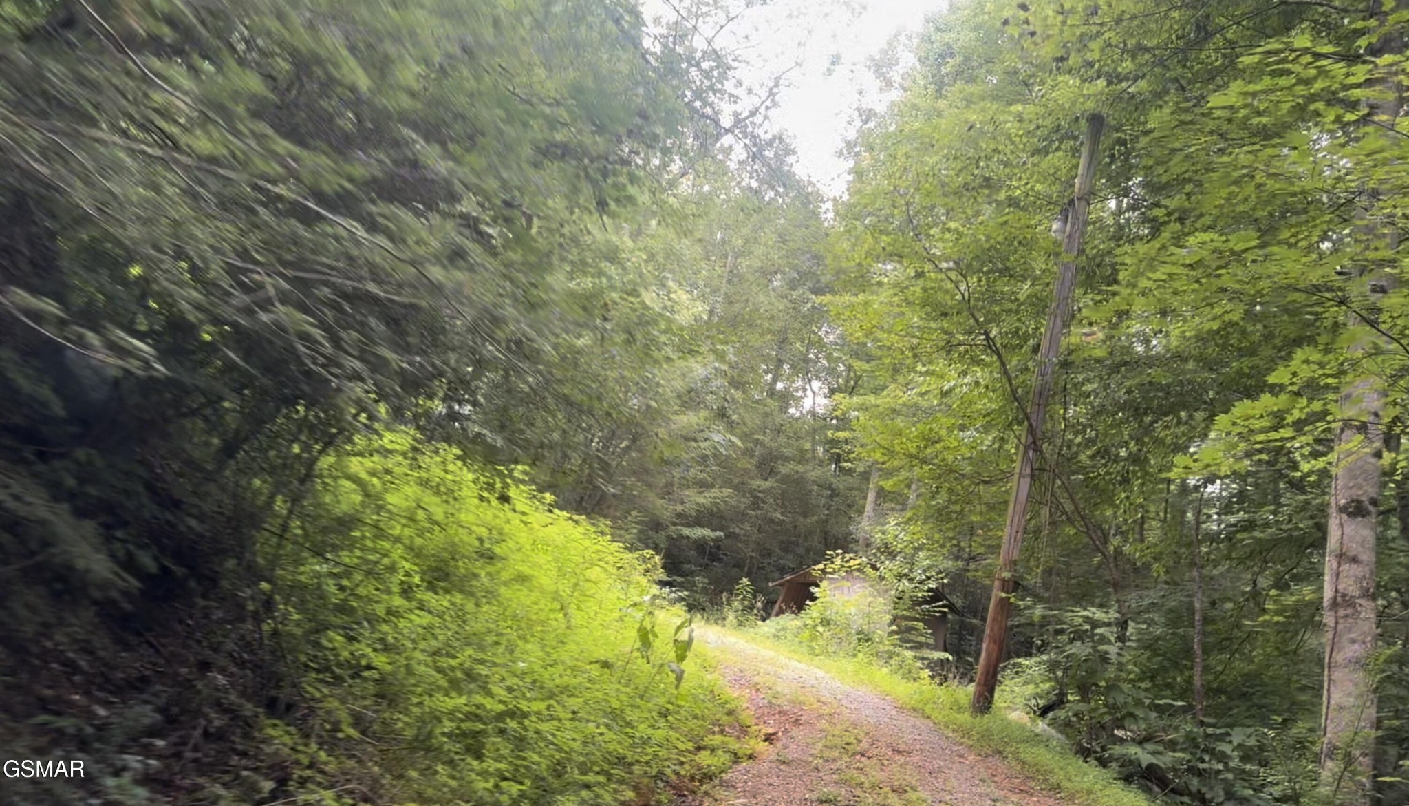1210 Laurel Lick Road Pigeon Forge, TN 37862 - Photo 7 of 15