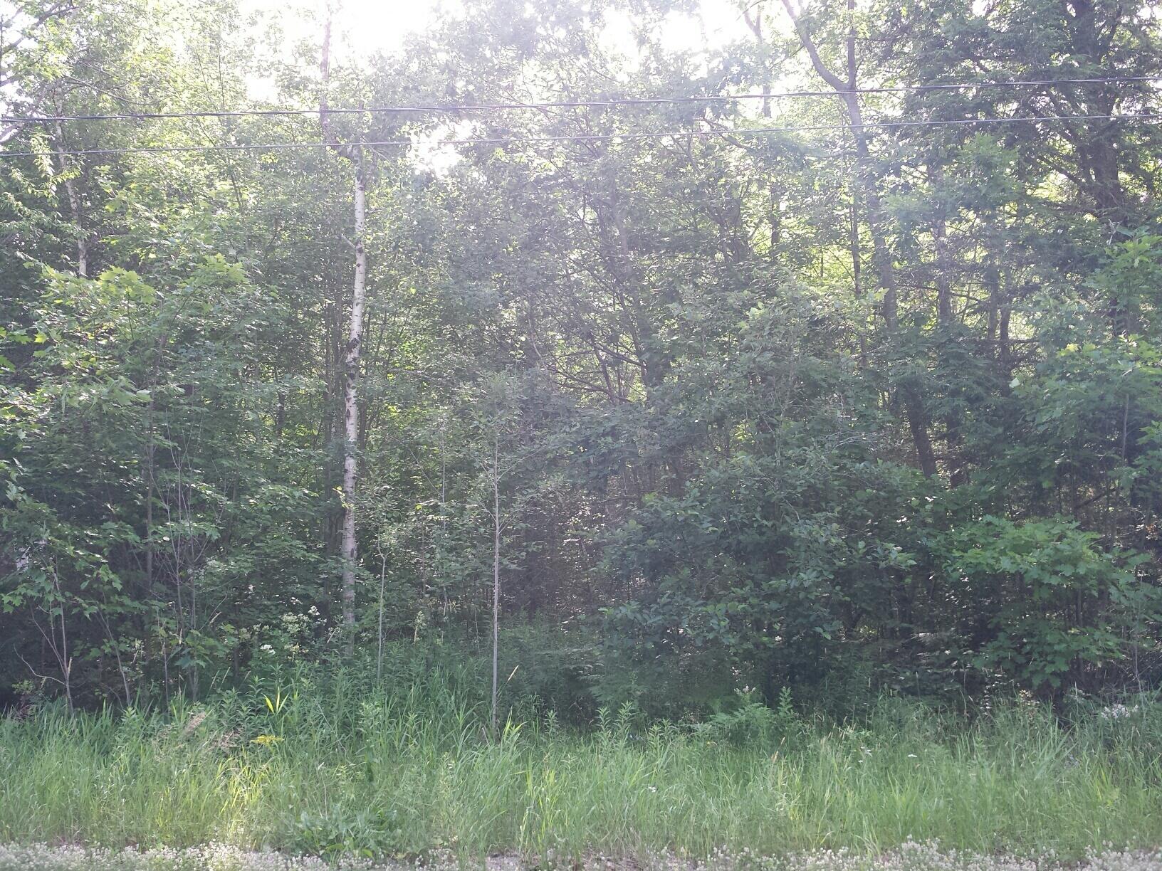 Lot 23 Edinburg Road Howland, ME 04448 - Photo 6 of 12 20150723_164109_resized