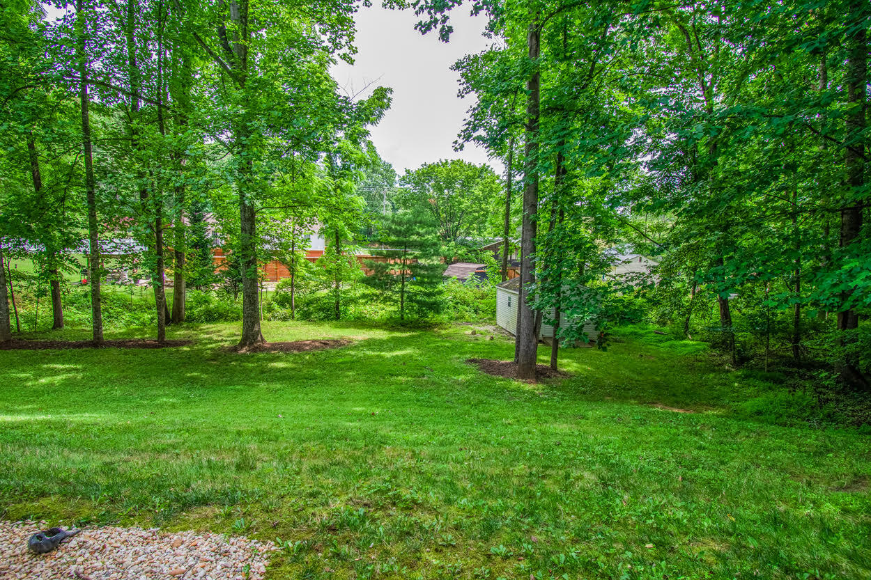 55 Ridgeview Road Blue Ridge, VA 24064 - Photo 28 of 33 Z