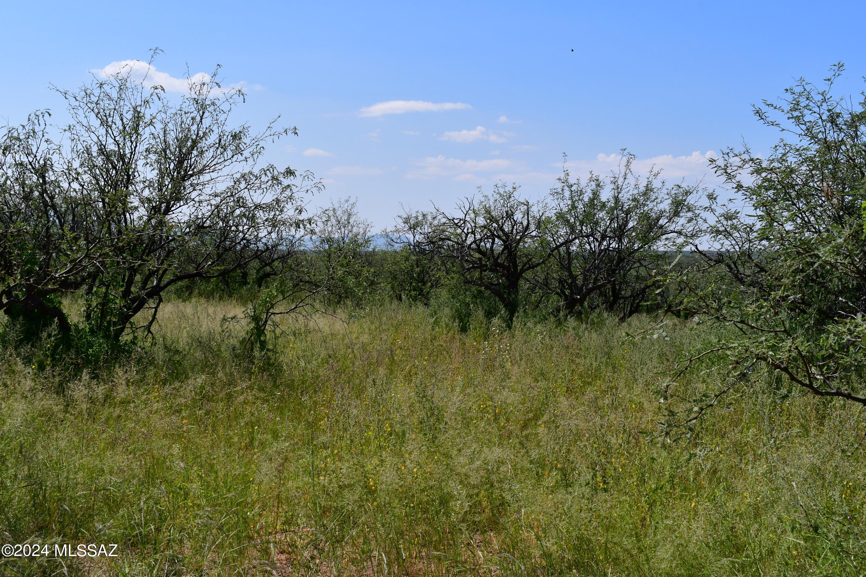 Tbd Tbd Mesquite Trail, Unit 132 Rio Rico, AZ 85648 - Photo 13 of 23