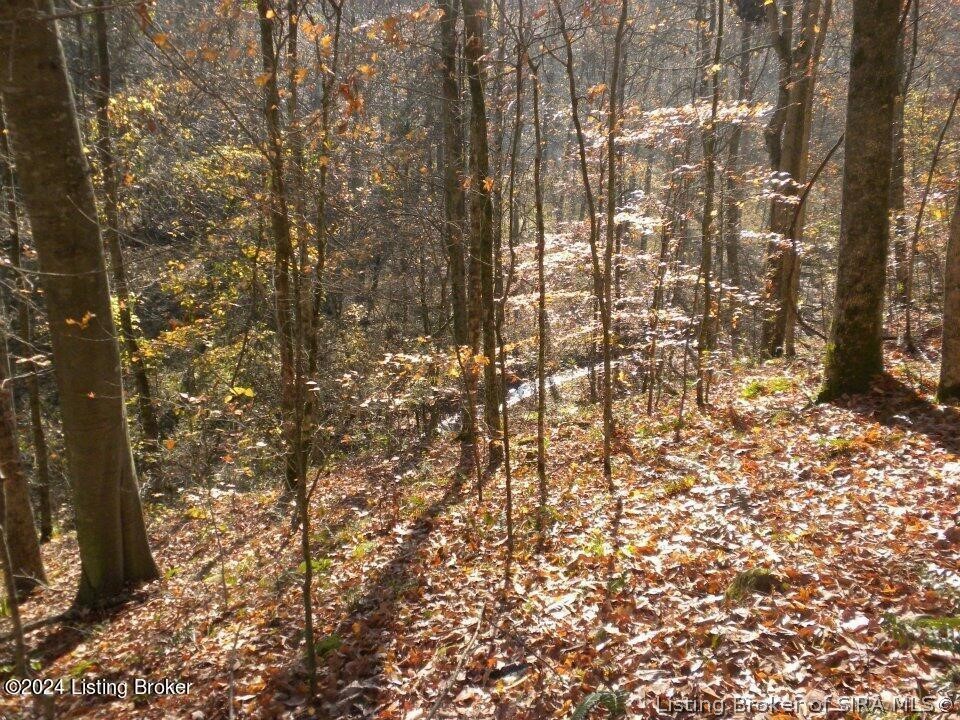 2409 Benleo Road Bowling Green, KY 42101 - Photo 16 of 26 Gallery Image 16