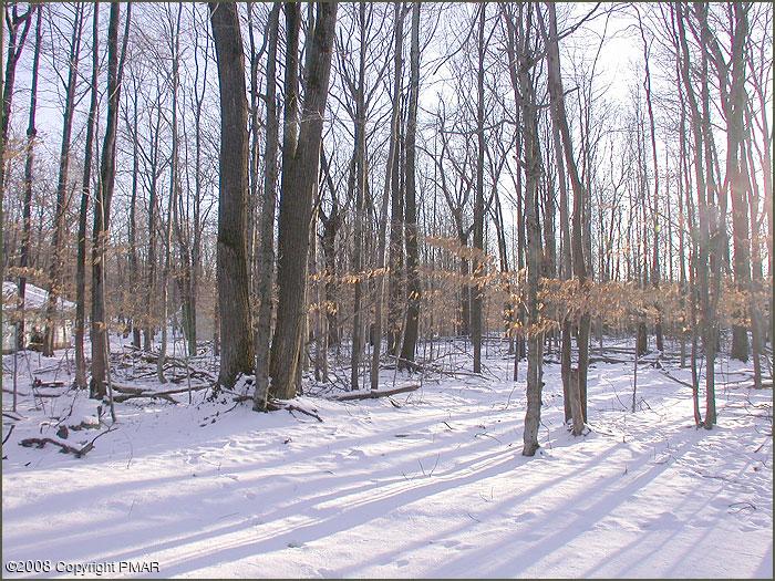 Lot 313 Fox Trail Road Pocono Lake, PA 18347 - Photo 2 of 2 Alternate view of Lot