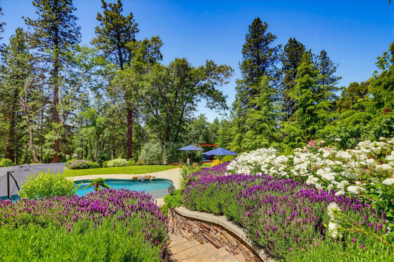 10213 Evergreen Ranch Court Grass Valley, CA 95949 - Photo 78 of 98