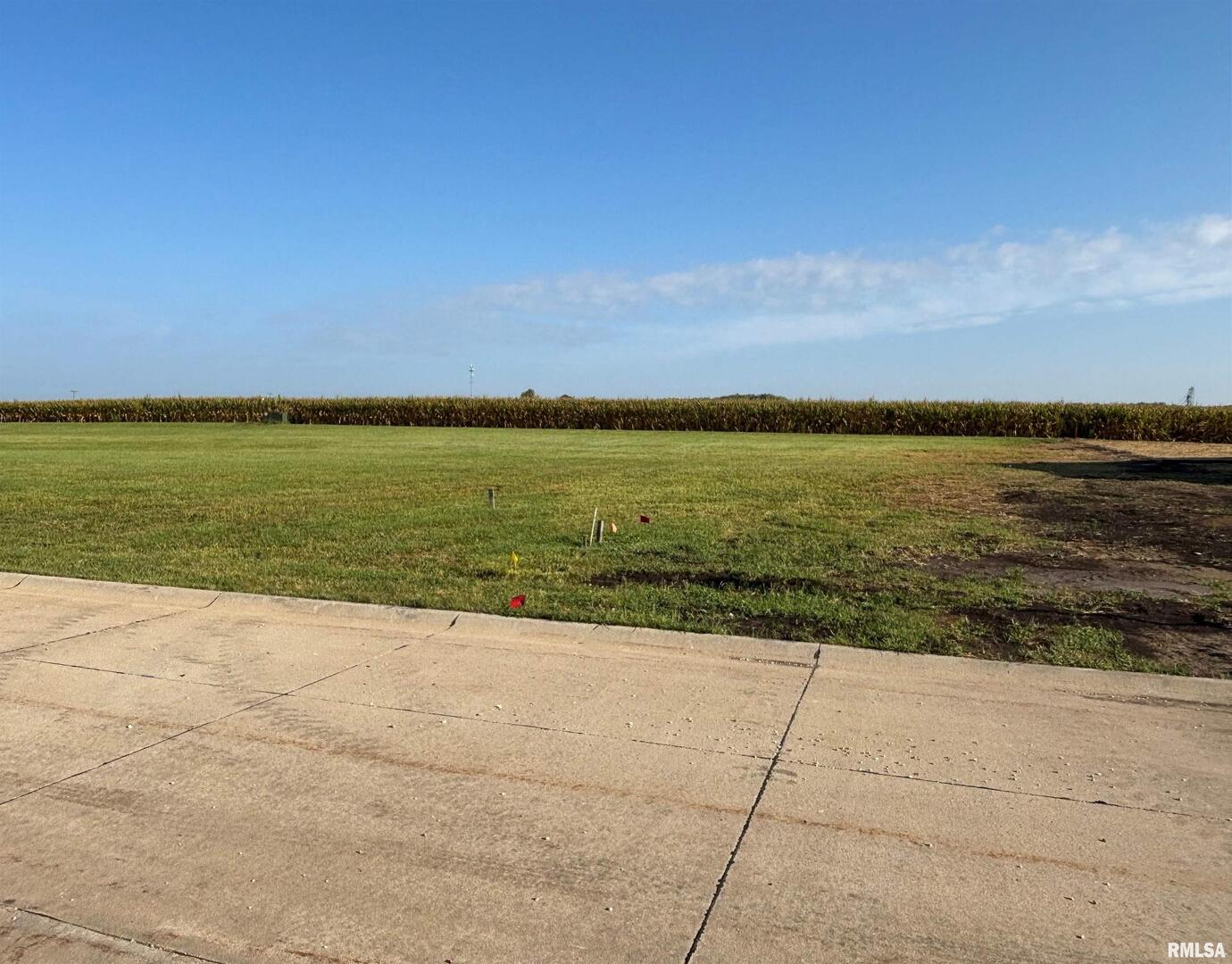 113 Schoolview Road Geneseo, IL 61254 - Photo 2 of 3