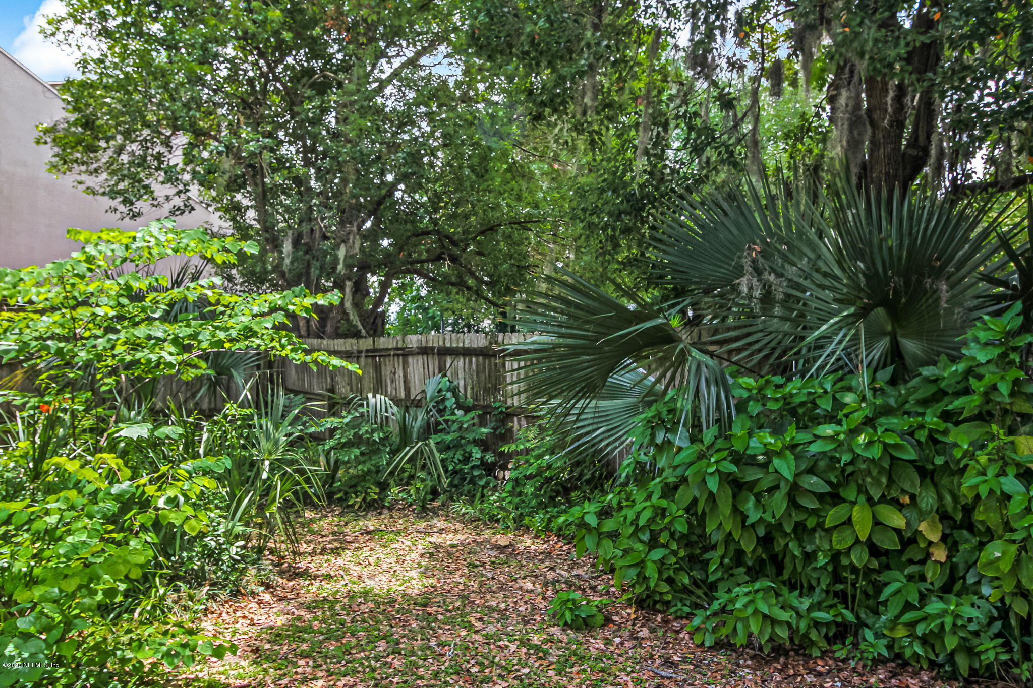 2780 Riverside Avenue Jacksonville, FL 32205 - Photo 84 of 87 Yard