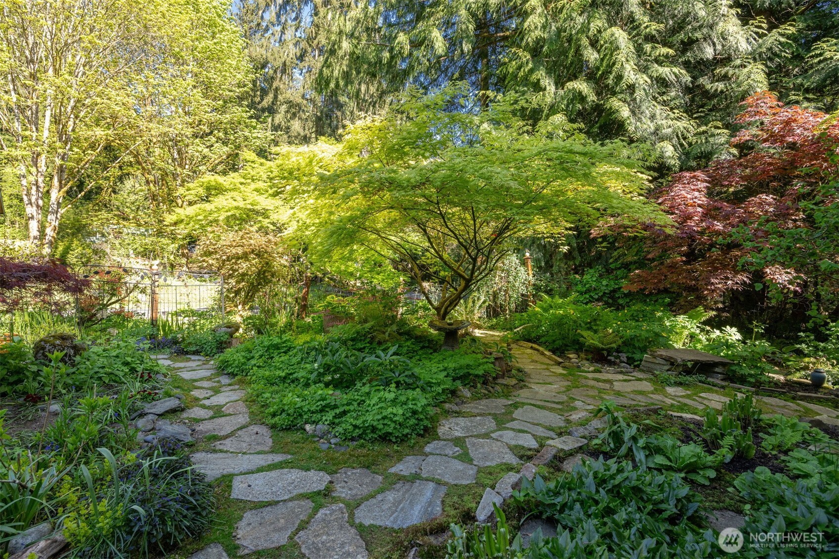 337 Sudden Valley Drive Bellingham, WA 98229 - Photo 36 of 40 a view of a yard with plants and large trees