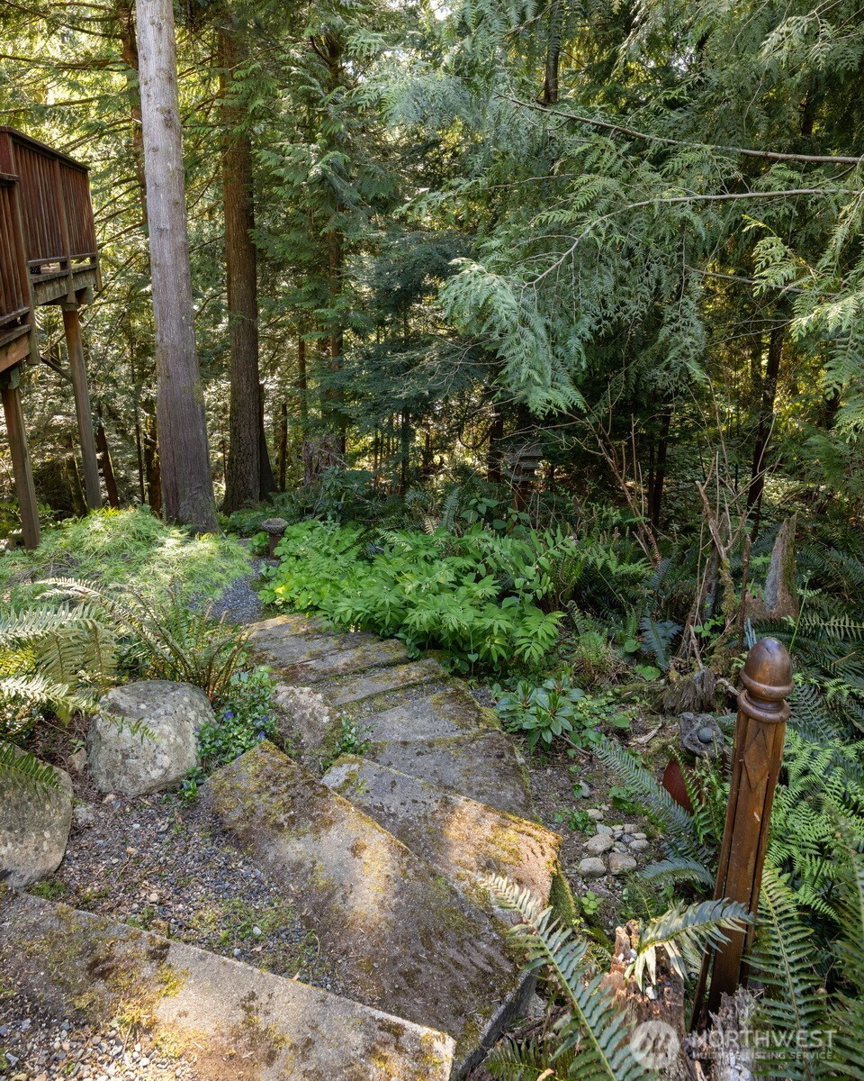 337 Sudden Valley Drive Bellingham, WA 98229 - Photo 39 of 40 a view of a yard with plants and large trees