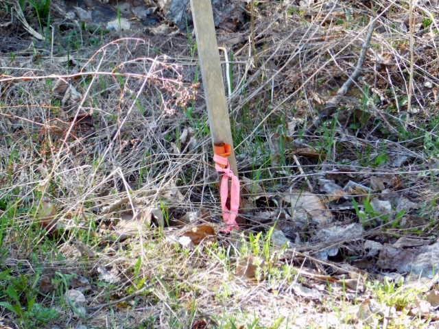 0 East Plantation Road Blaine, ME 04734 - Photo 7 of 13 Photo