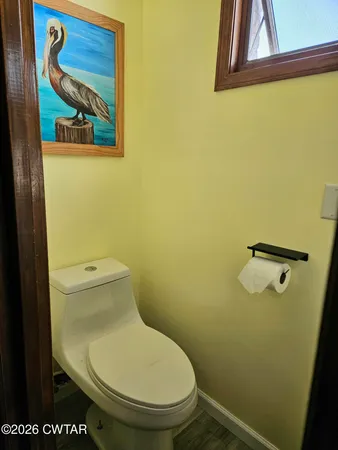 a view of a yard with plants and trees