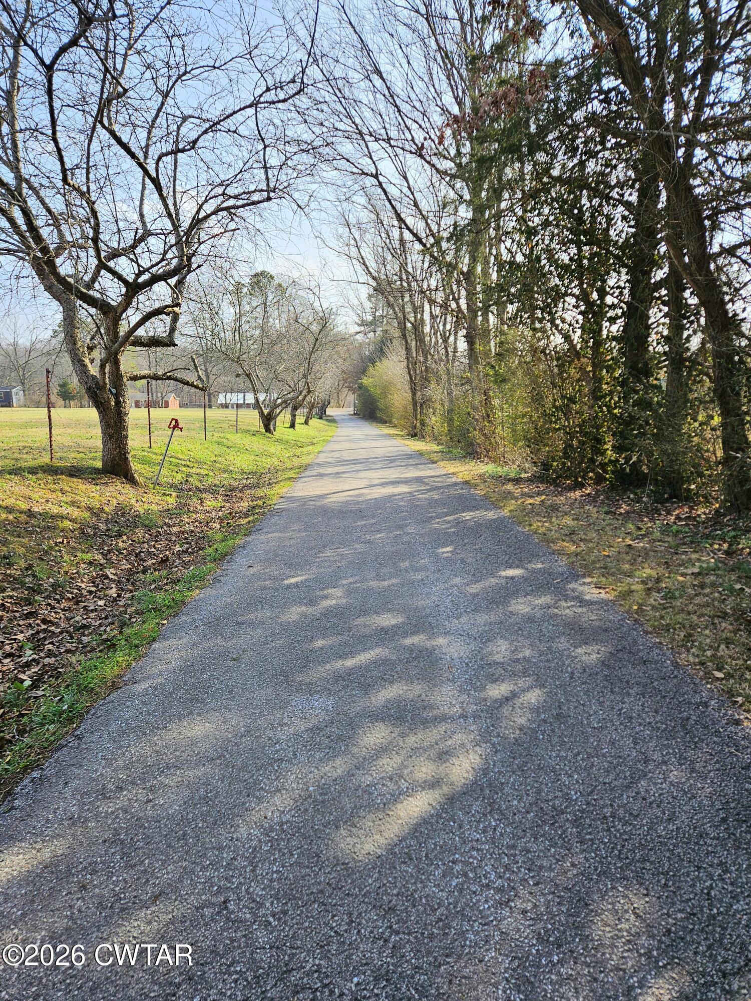 103 Spring Creek Law Road Jackson, TN 38305 - Photo 28 of 35 a view of a yard with plants and trees