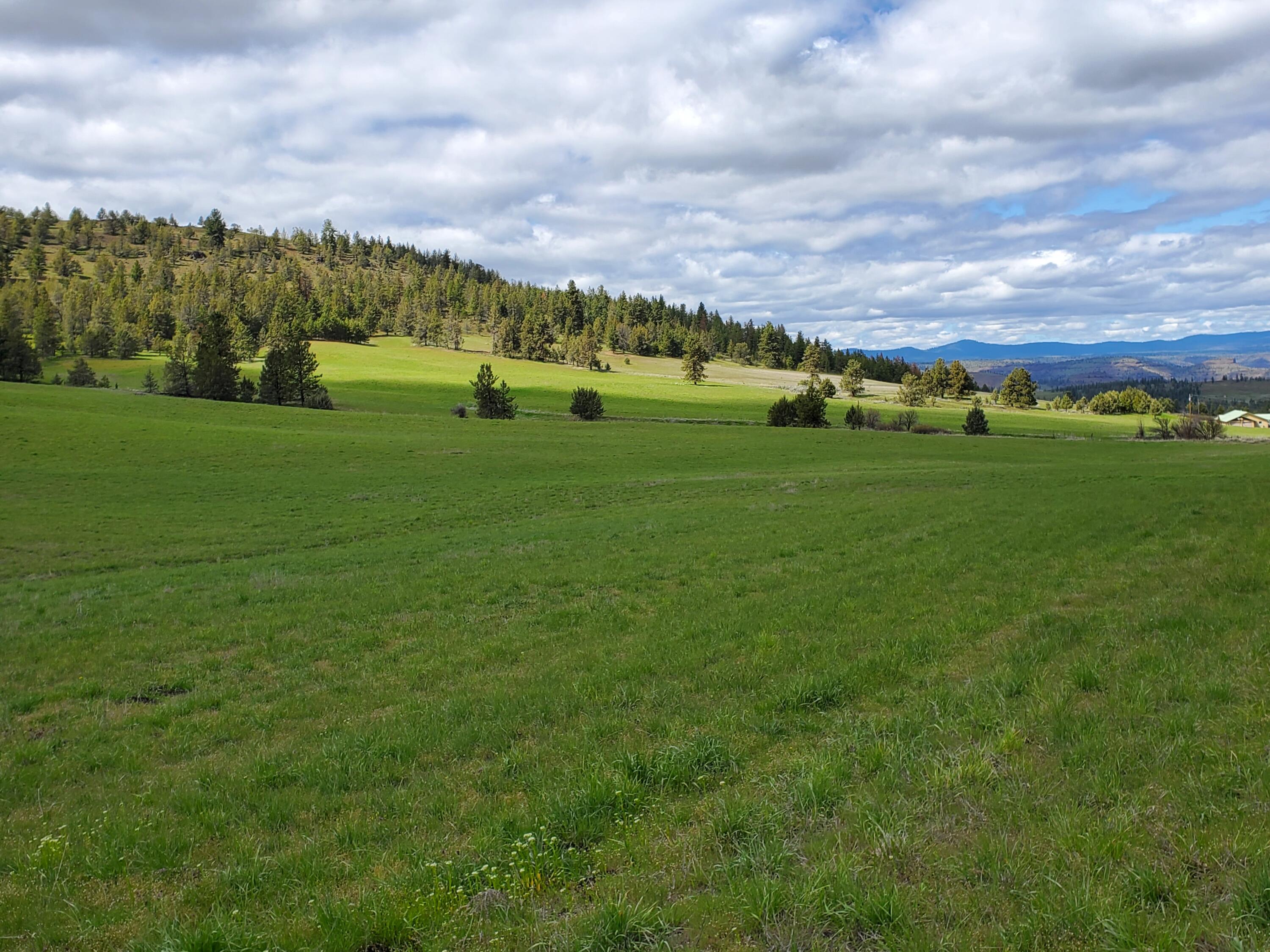 44221 Top Road Monument, OR 97864 - Photo 9 of 15 20220503_144258