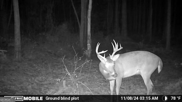 0 Sam Bradley Road Americus, GA 31709 - Photo 23 of 37 Gallery Image 23