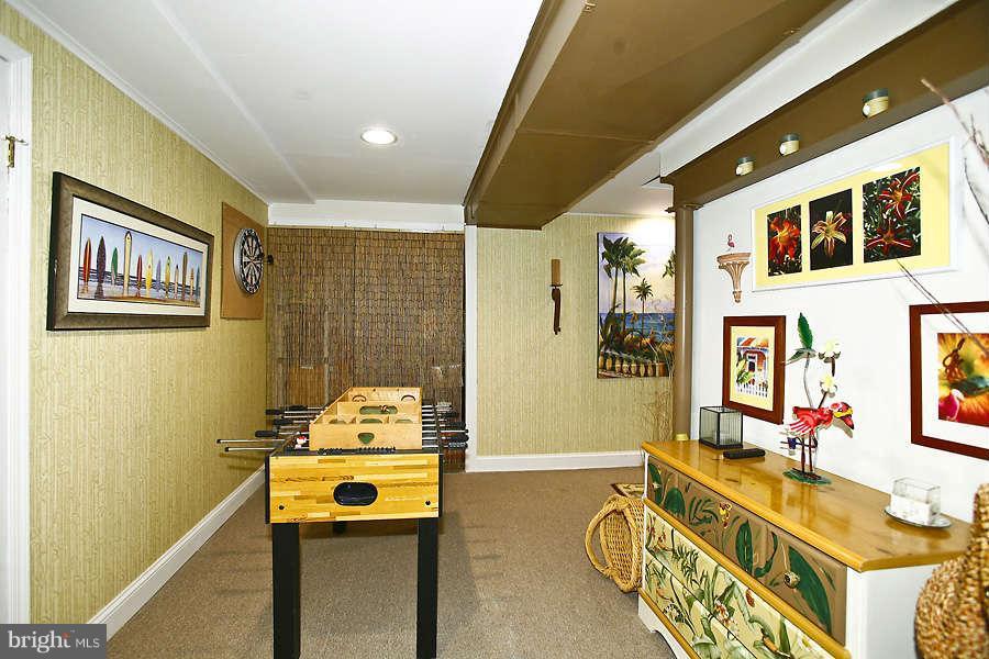 1 Tindlay Court Silver Spring, MD 20905 - Photo 22 of 30 Basement