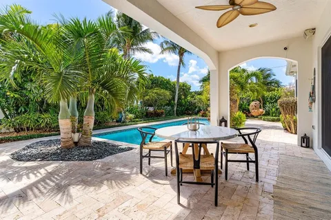 a view of a backyard with plants and trees