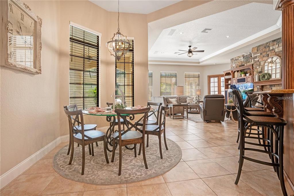 11050 Coniston Way Windermere, FL 34786 - Photo 20 of 62