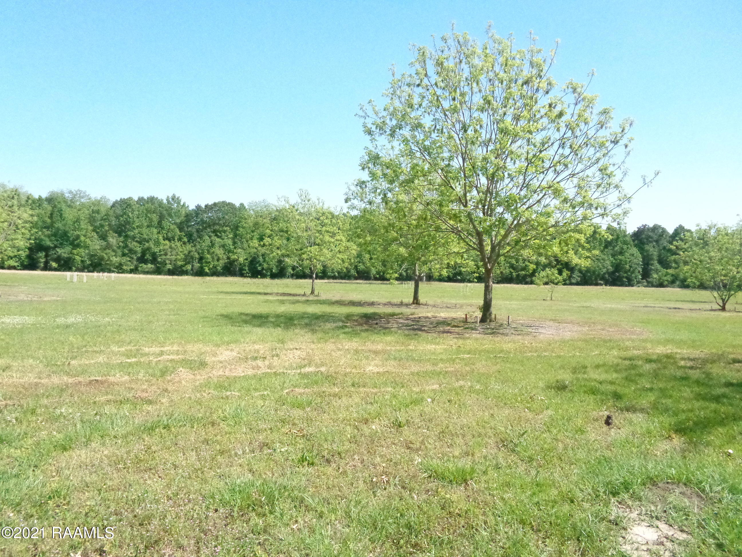 0 Gloria Kern Road Breaux Bridge, LA 70517 - Photo 3 of 25