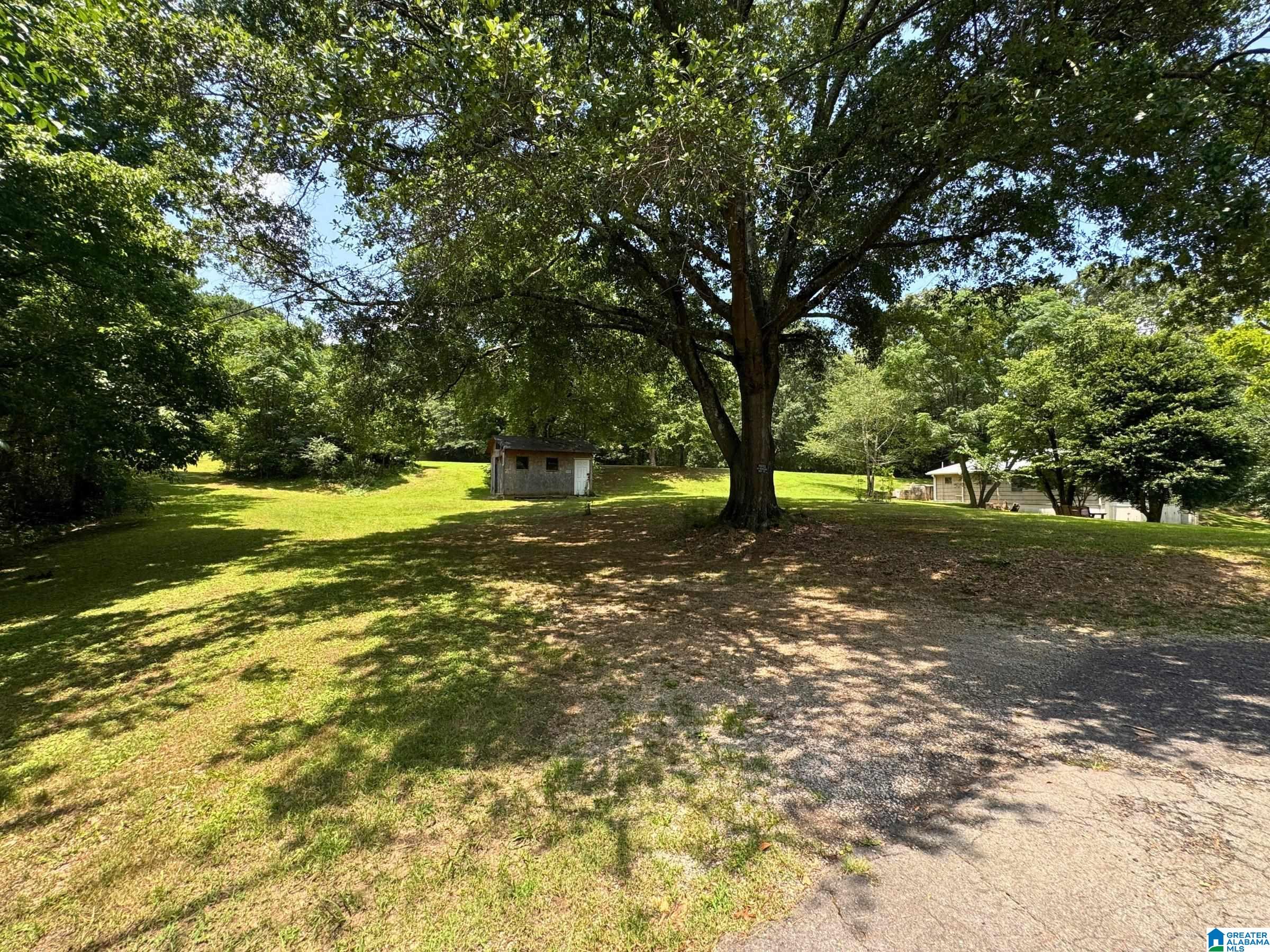 9132 3rd Avenue Trafford, AL 35172 - Photo 16 of 19