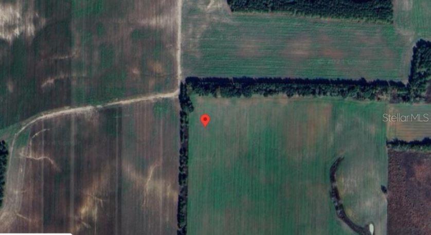 Old U Road South Marianna, FL 32446 - Photo 8 of 9