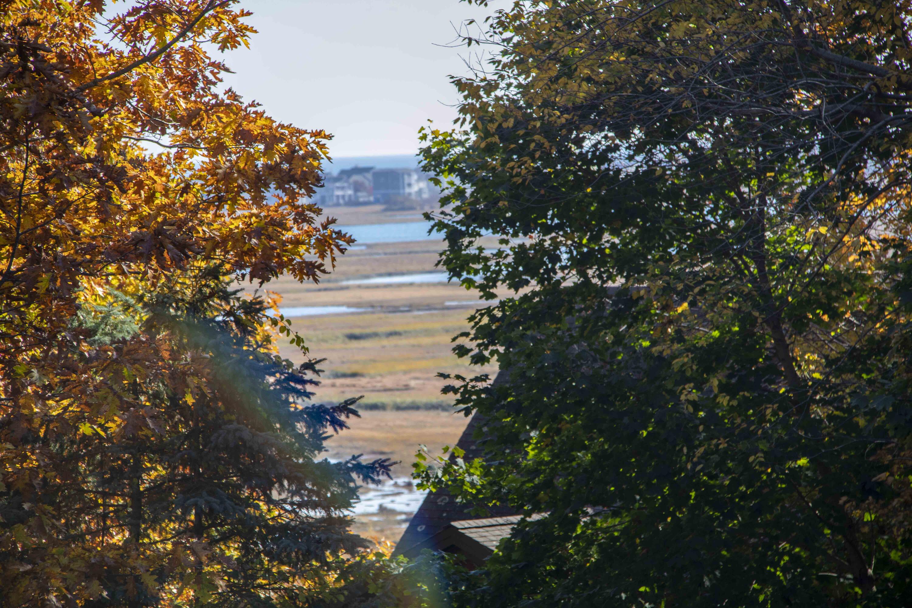 32 Morison Avenue Wells, ME 04090 - Photo 26 of 48 IMG_0161
