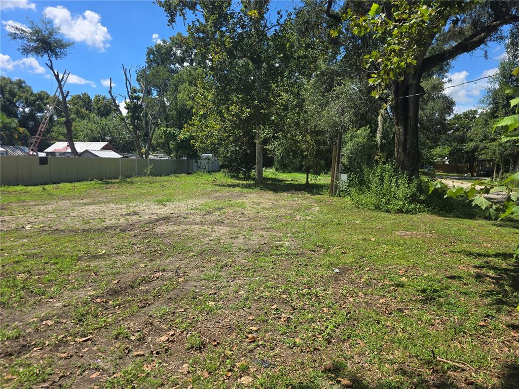 1403 Gordon Road Plant City, FL 33566 - Photo 4 of 4 a view of a field with a tree