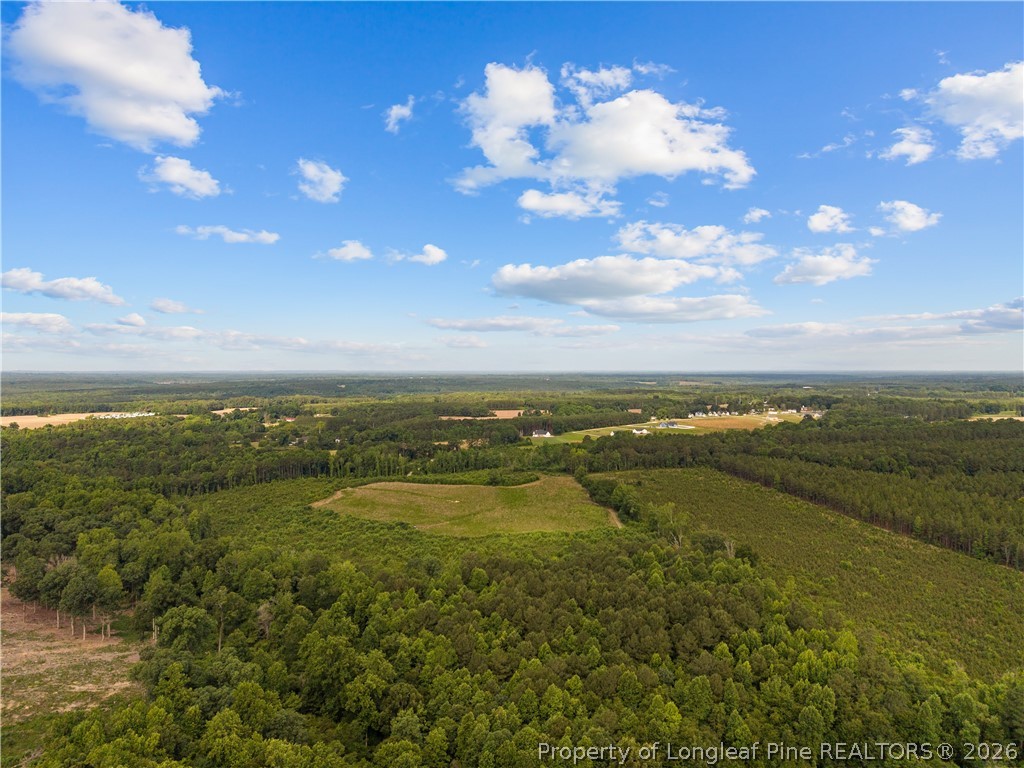 Leaflet Church Road Lillington, NC 27546 - Photo 9 of 20