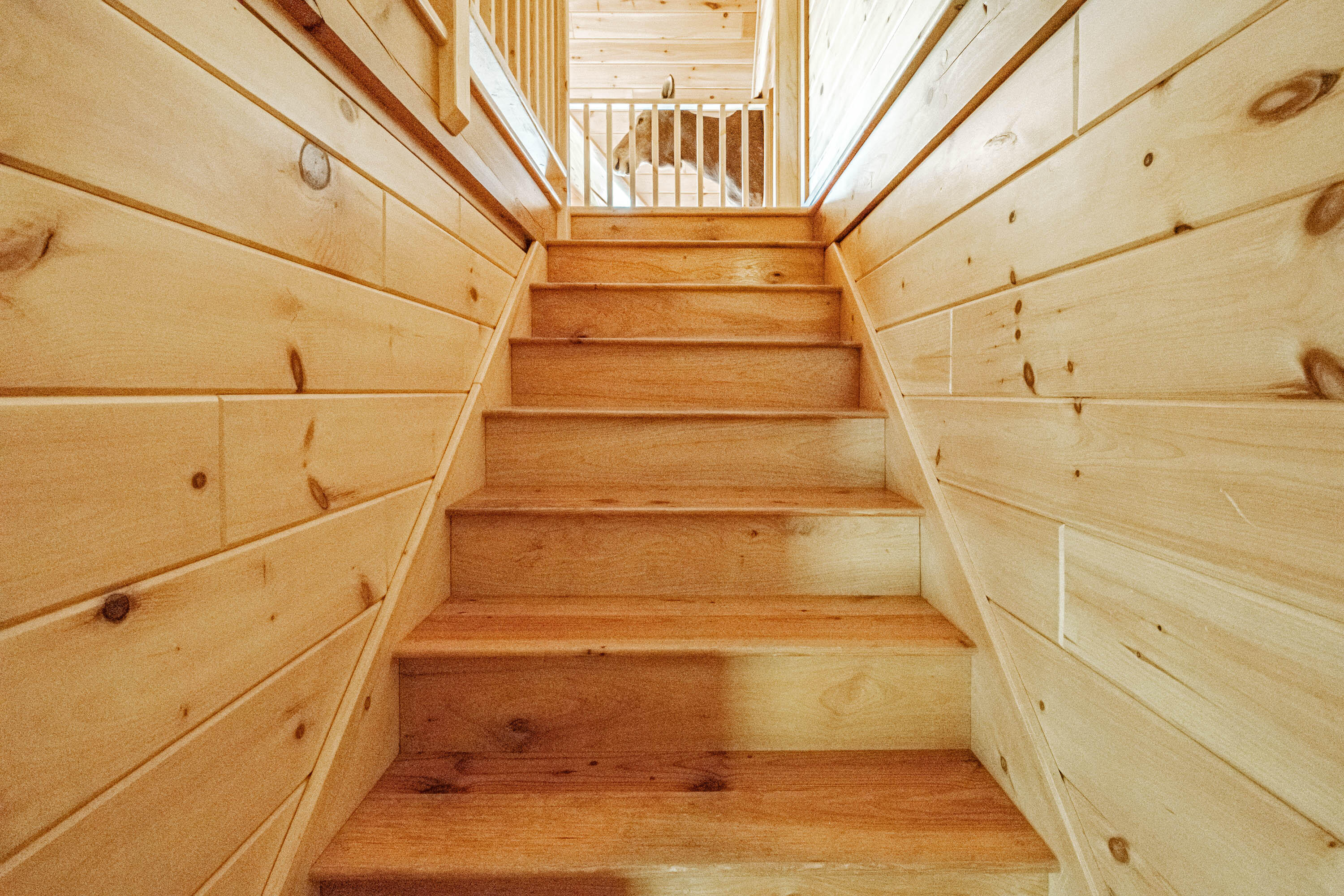 70 Corson Road Parsonsfield, ME 04047 - Photo 53 of 80 20220519gp-60051 - Copy