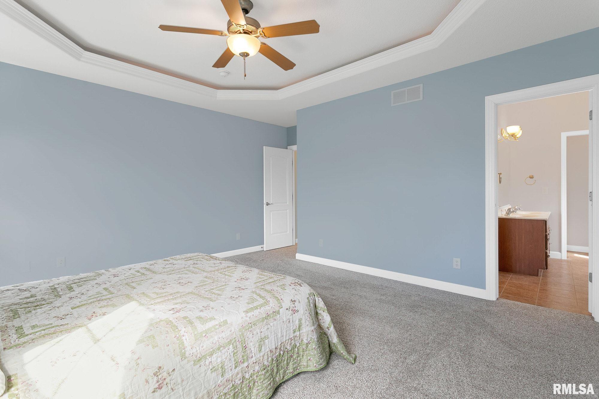 2203 Timber Ridge Drive Port Byron, IL 61275 - Photo 19 of 34 Gallery Image 19