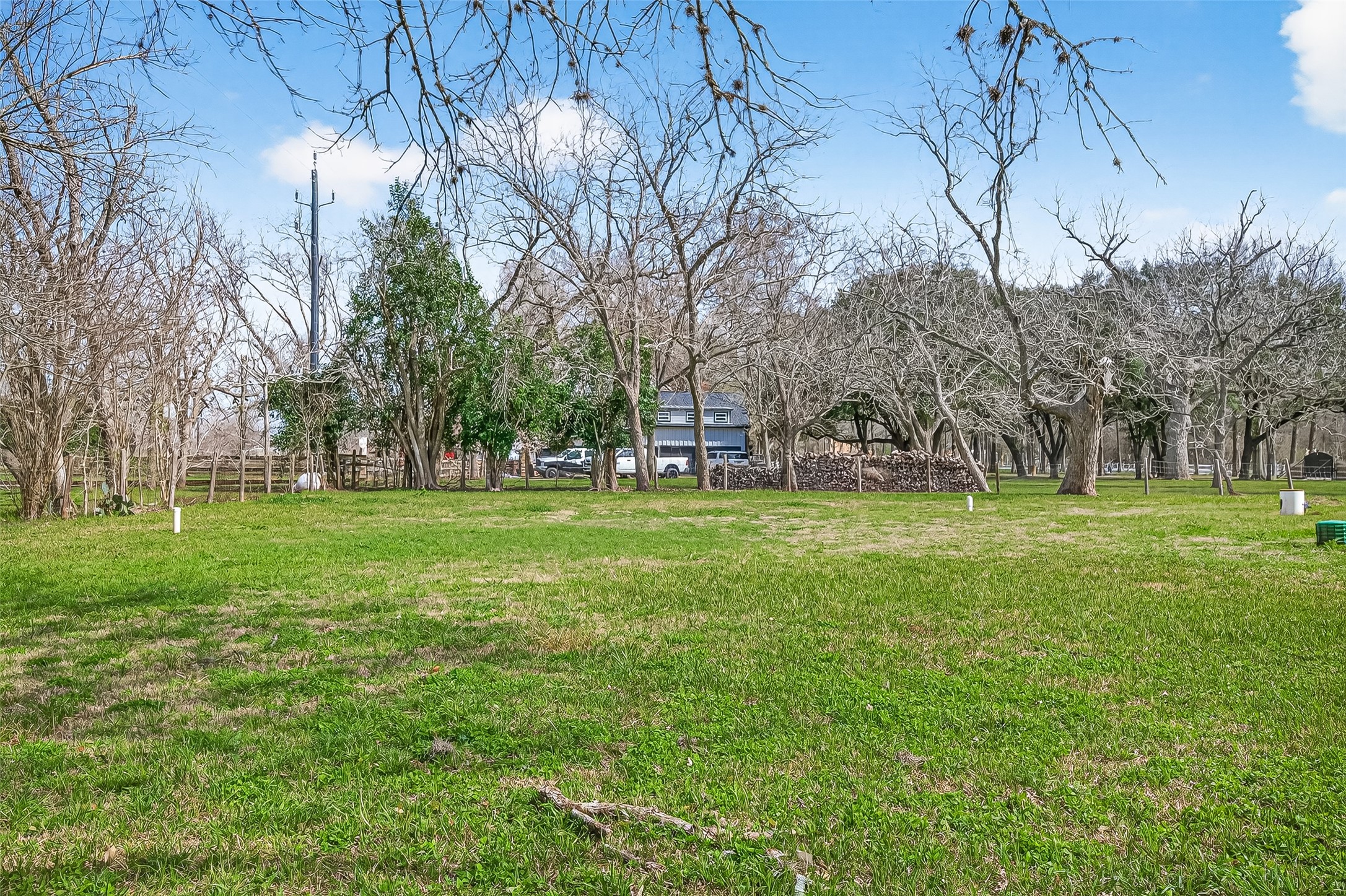 403 Wrangler Road Simonton, TX 77485 - Photo 30 of 33 a garden view with fountain
