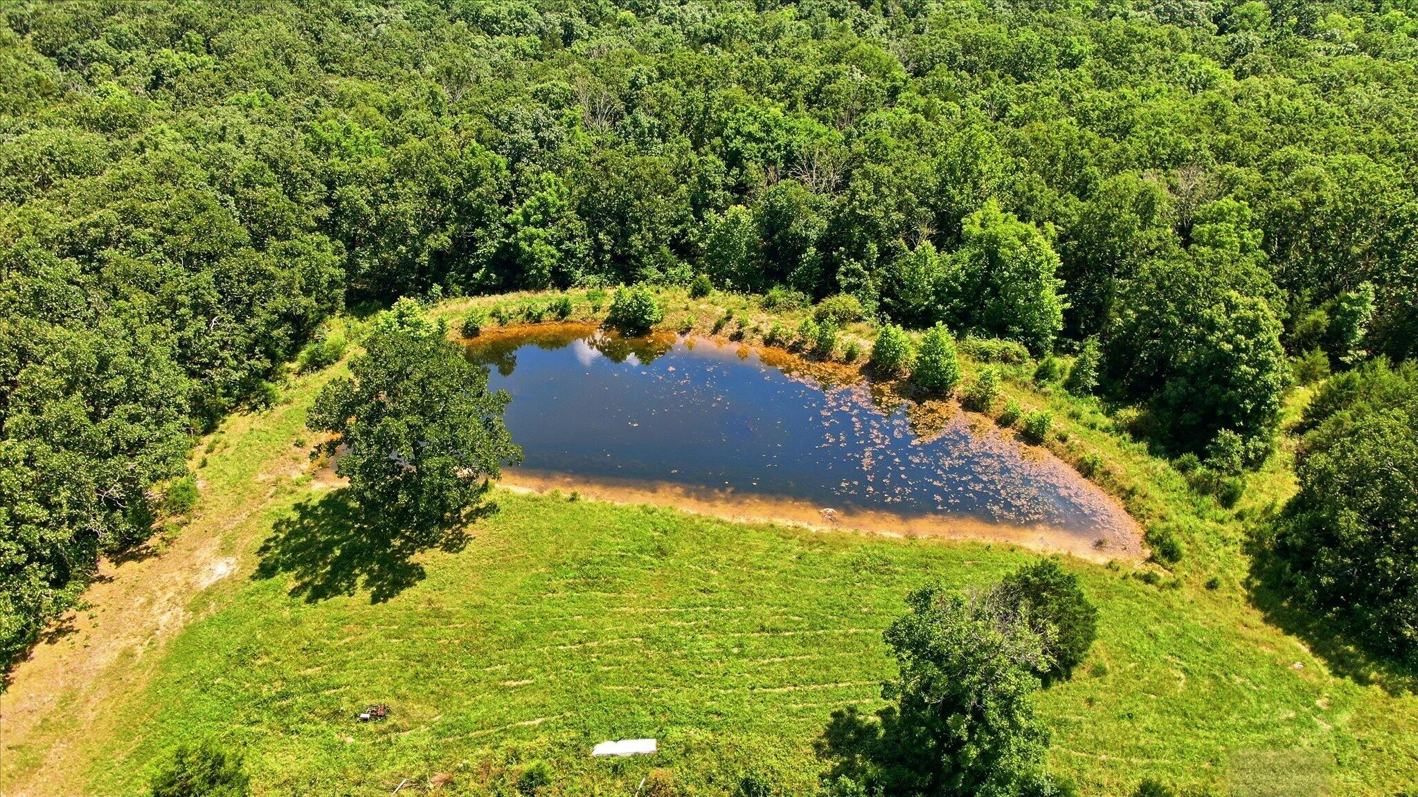 184 State Route East Fair Grove, MO 65648 - Photo 12 of 13 12-DJI_0448
