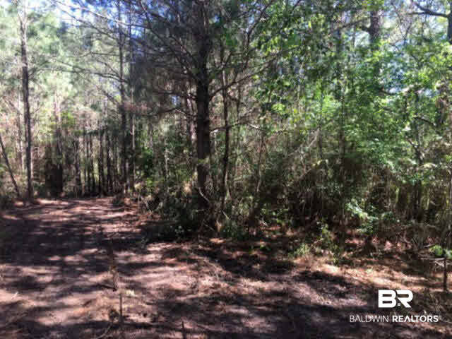 38540 County Road 39 Stapleton, AL 36578 - Photo 15 of 15
