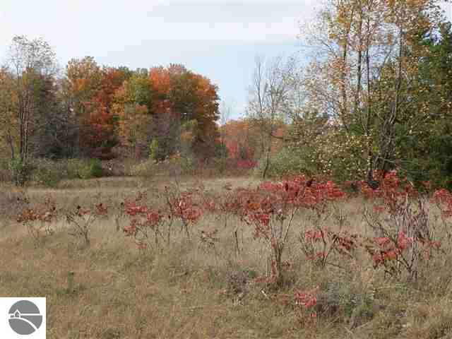 Lot 10 Roberts Road Beulah, MI 49617 - Photo 10 of 20 1732674-9.JPG