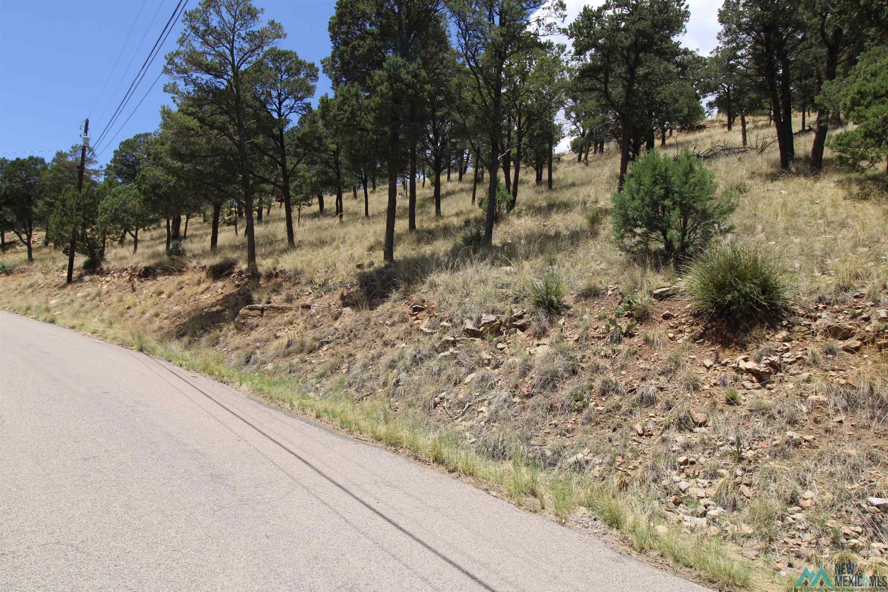 105 Valley Drive Ruidoso, NM 88345 - Photo 1 of 6