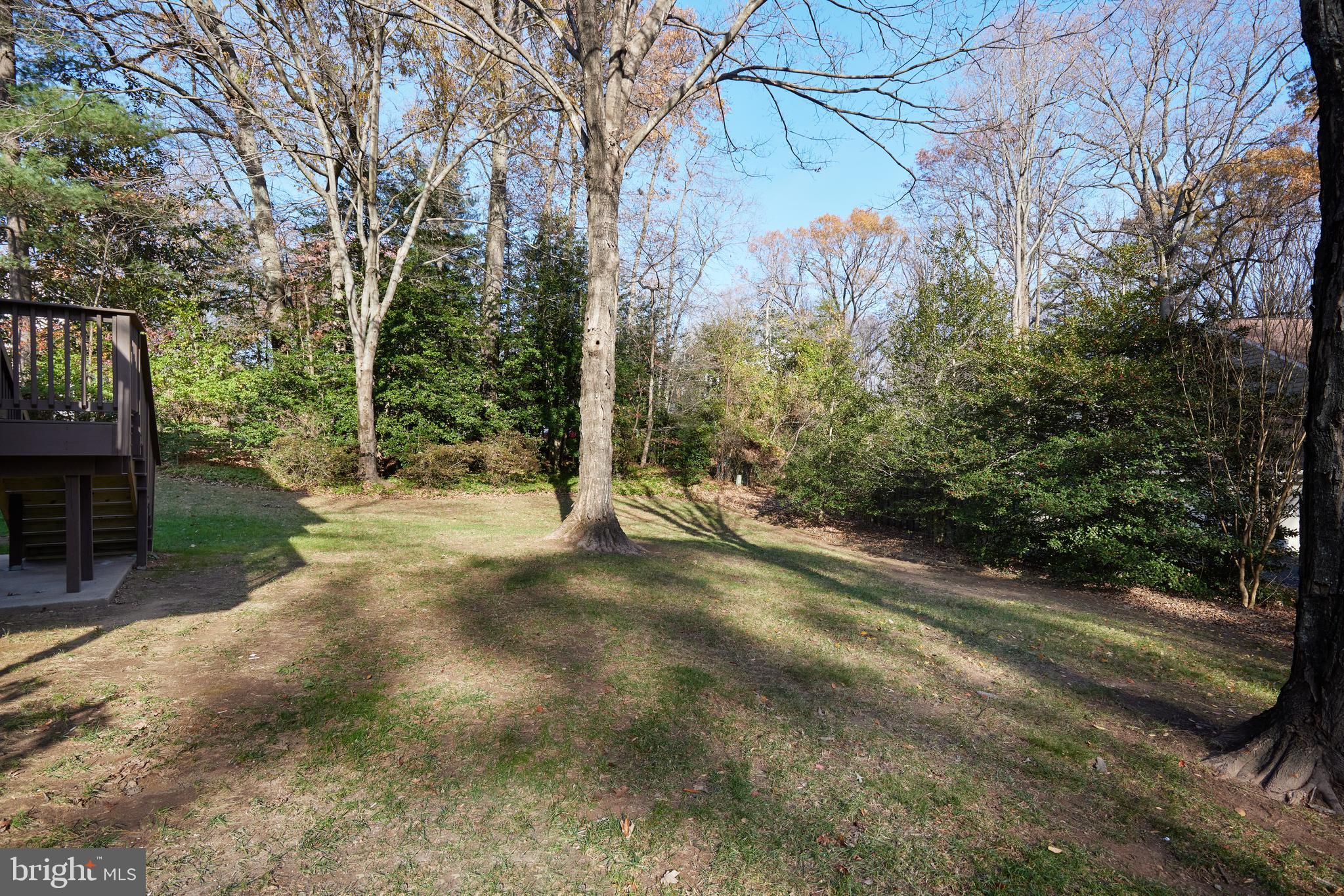 11802 Grey Birch Place Reston, VA 20191 - Photo 58 of 65 Gallery Image 58