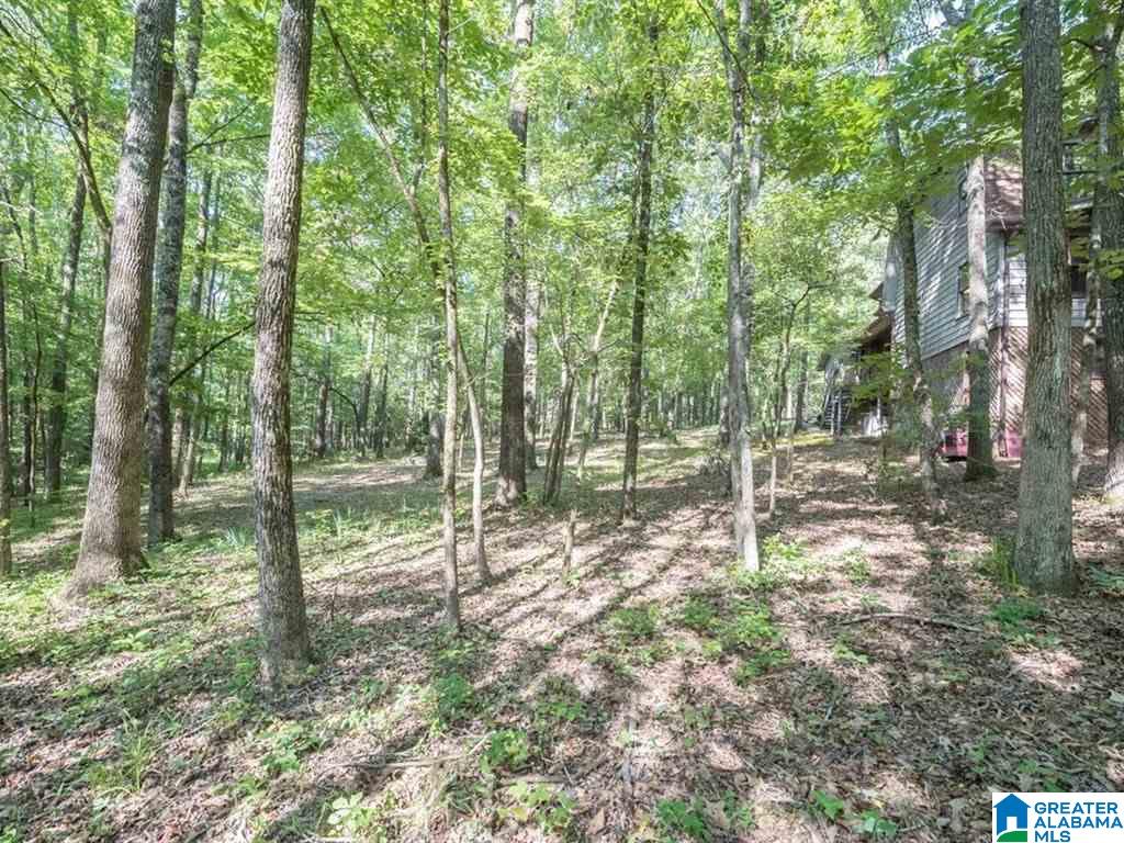22461 Rosser Lane McCalla, AL 35111 - Photo 28 of 33