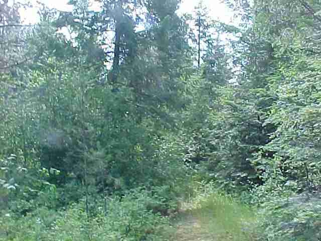 Lot 18 Grahm Road Cusick, WA 99119 - Photo 2 of 2
