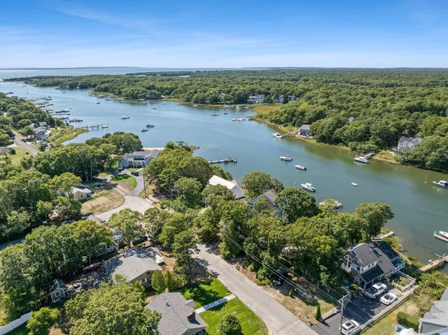 an aerial view of green landscape with trees houses and lake view