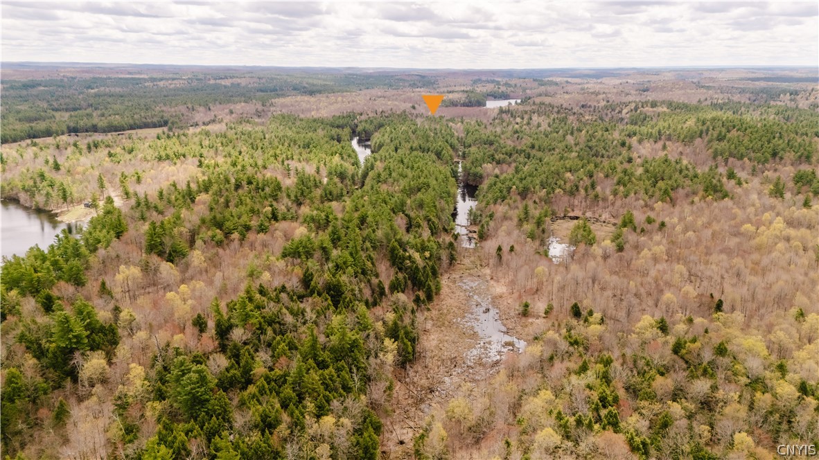 0 Bingo Road Edwards, NY 13635 - Photo 10 of 49