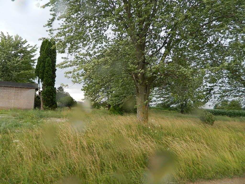 8010 East Battle Road Clare, MI 48617 - Photo 6 of 6