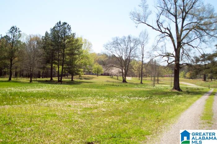 2140 Springdale Road Bessemer, AL 35022 - Photo 39 of 39