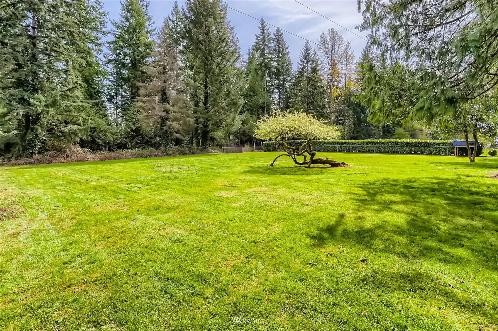 19810 43rd Avenue Southeast Bothell, WA 98012 - Photo 36 of 40 a view of a big yard with a swimming pool