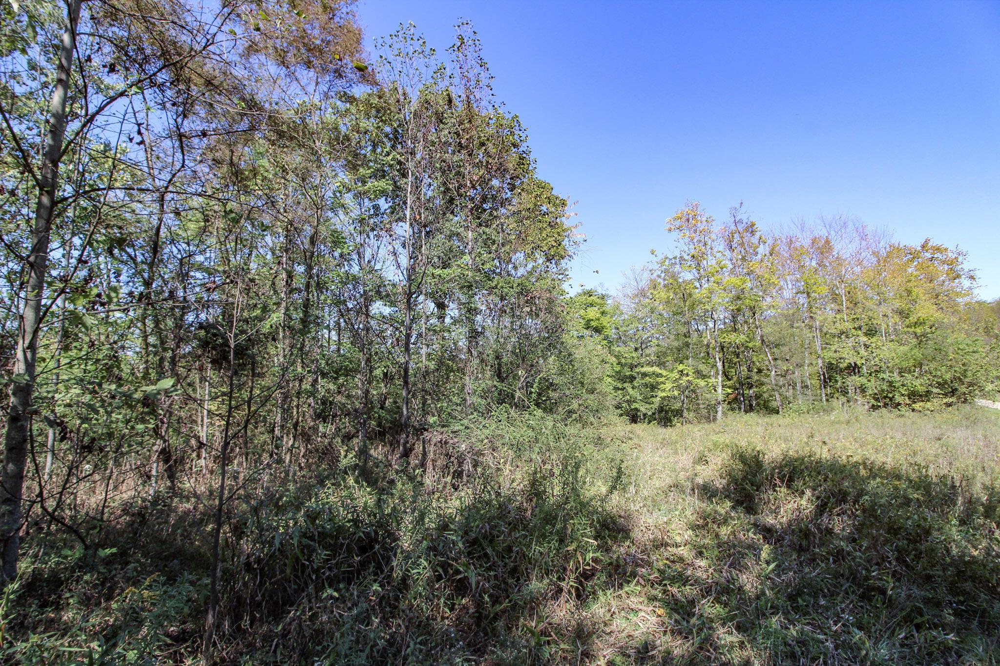 Lot 4 Moss Run Road Marietta, OH 45750 - Photo 2 of 14