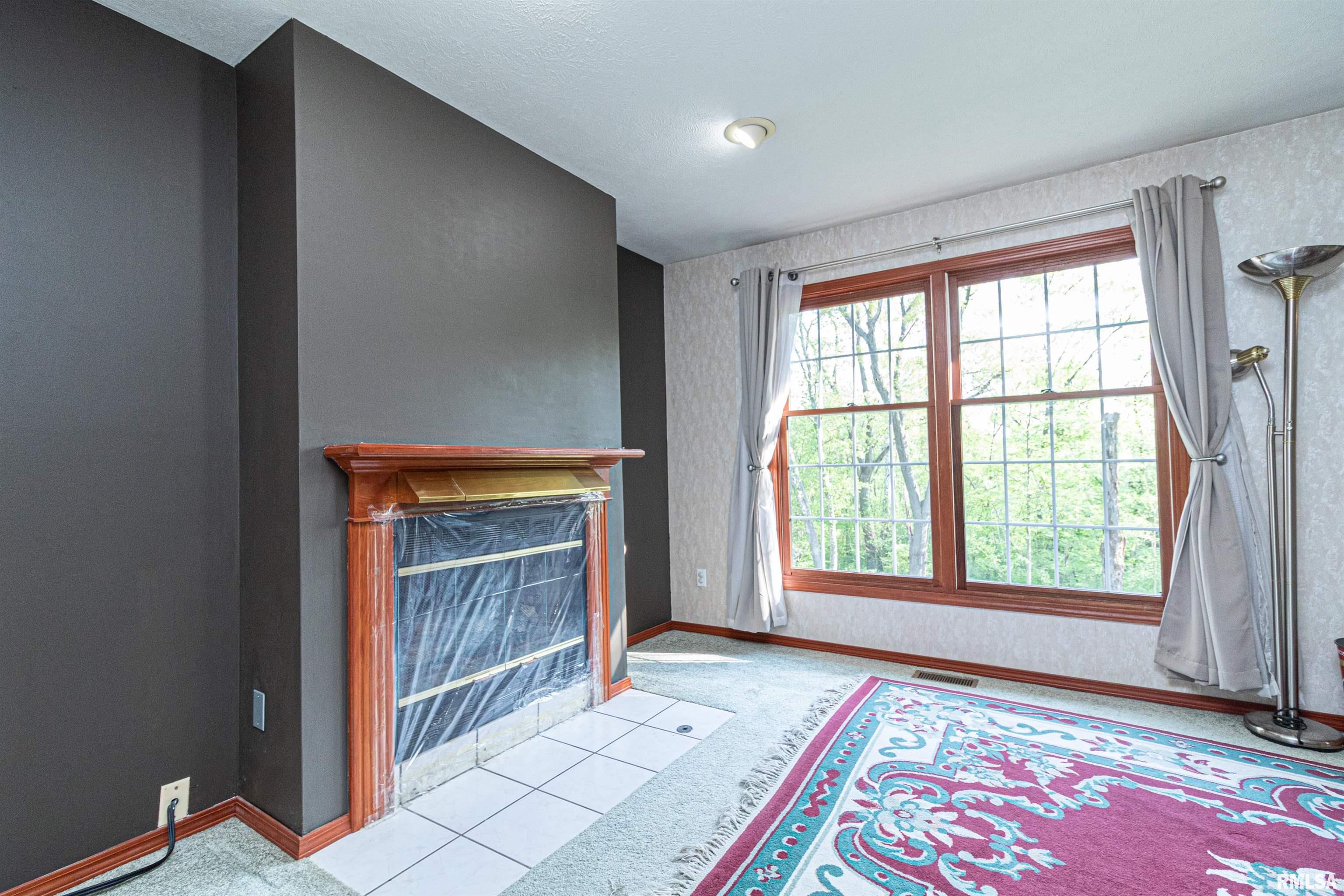 10 Raleigh Avenue Mackinaw, IL 61755 - Photo 15 of 59