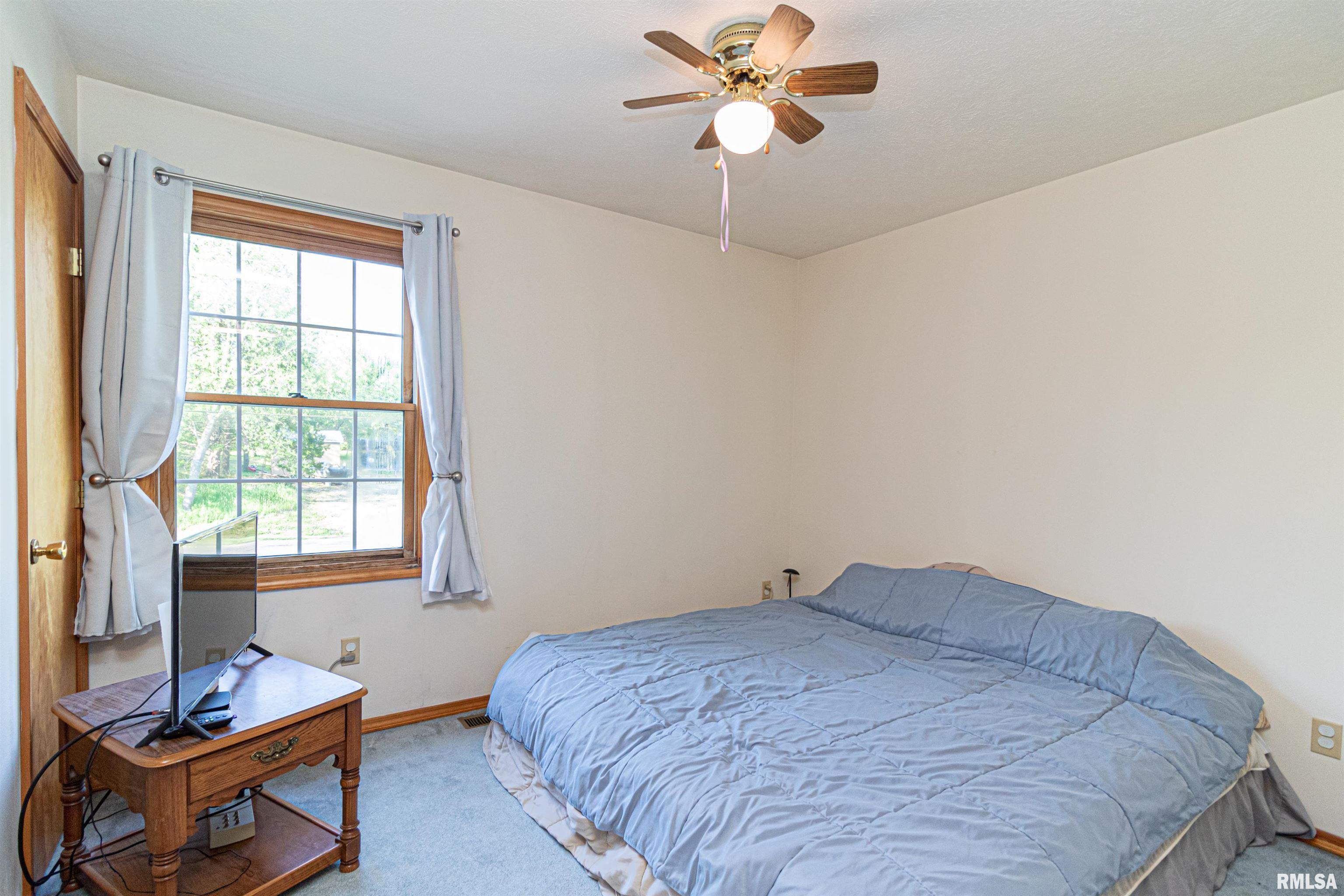 10 Raleigh Avenue Mackinaw, IL 61755 - Photo 32 of 59