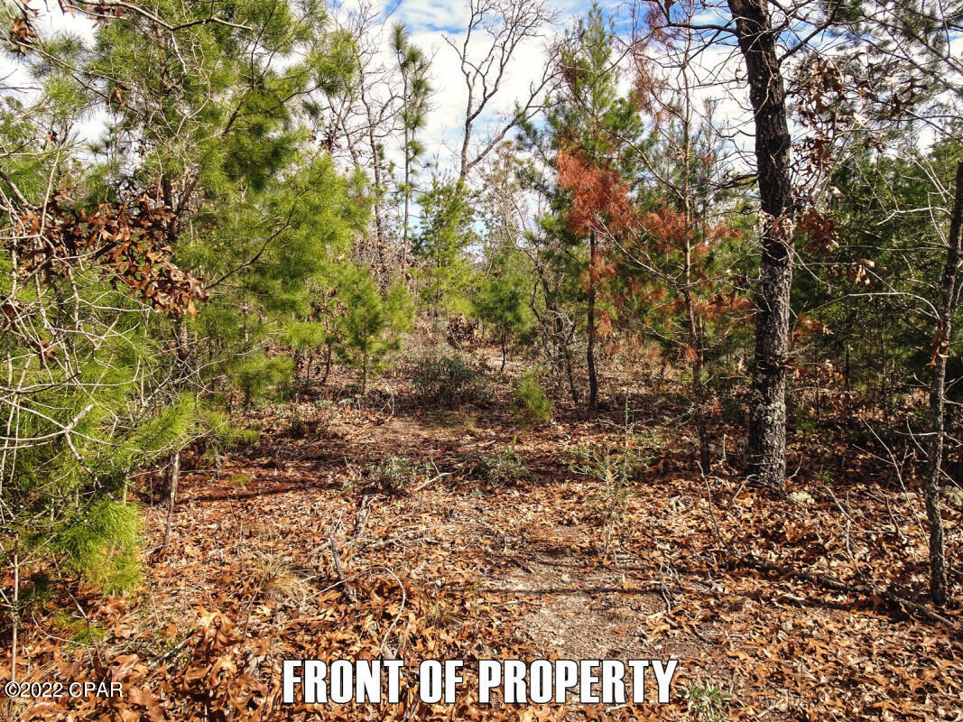 0 Turkey Oak Road Fountain, FL 32438 - Photo 7 of 9 Gallery Image 7