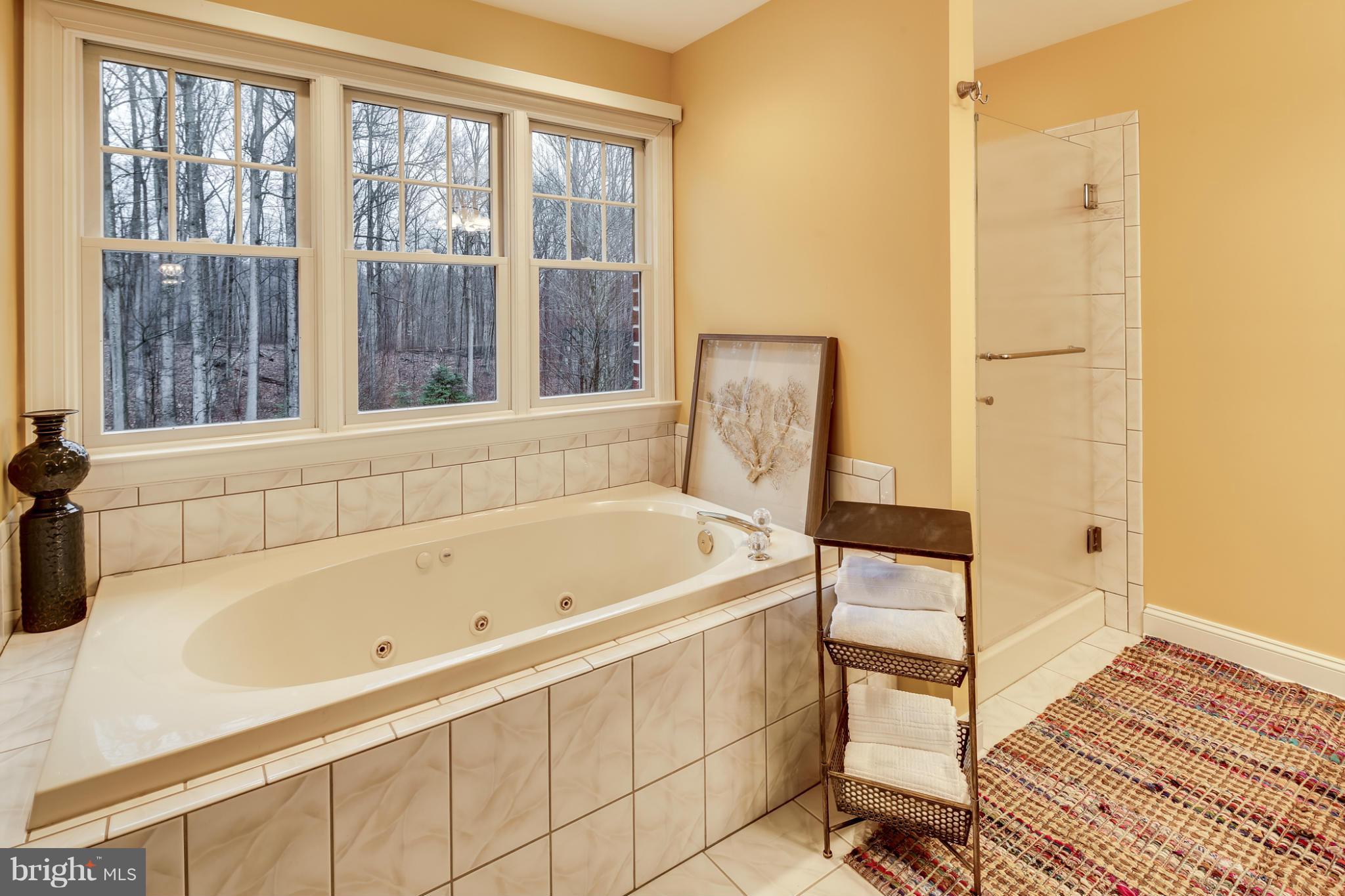 1250 Monkton Road Monkton, MD 21111 - Photo 23 of 30 Bath (Master)