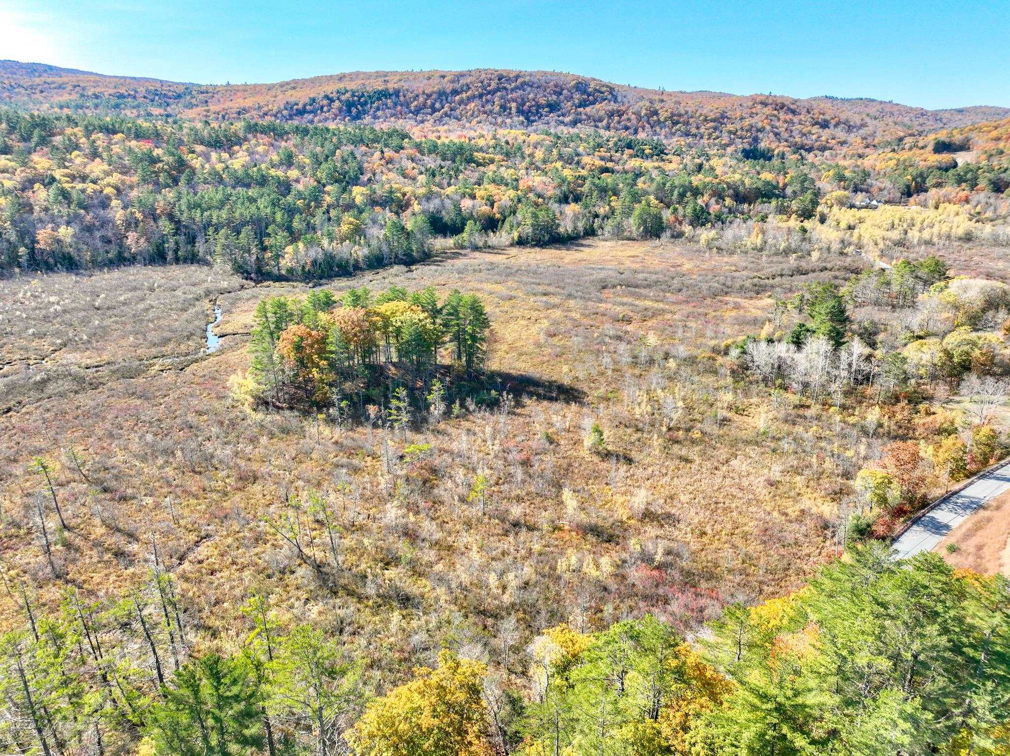 0 Riddle Hill Road Grafton, NH 03240 - Photo 6 of 8