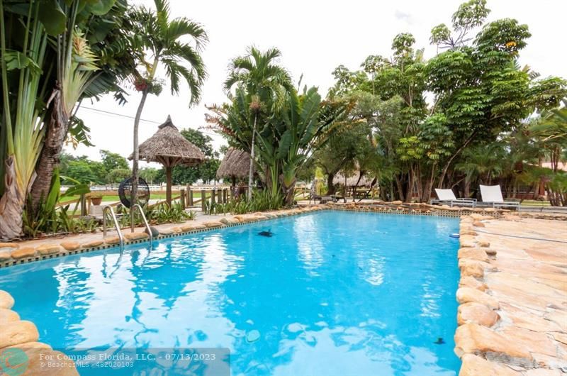 11450 Southwest 17th Street Davie, FL 33325 - Photo 3 of 56 a view of swimming pool with a lawn chairs under palm trees
